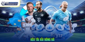 Kèo Tài Xỉu Bóng Đá Hiệu Quả Cho Người Mới 2026 5 Kèo tài xỉu bóng đá