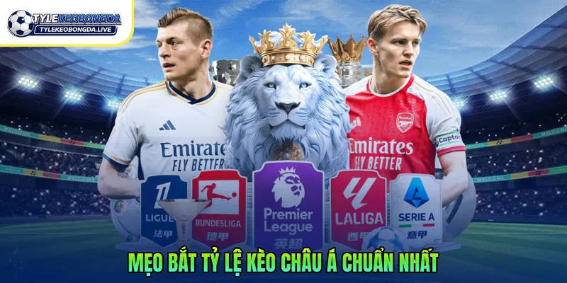 Mẹo bắt tỷ lệ kèo châu á chuẩn nhất