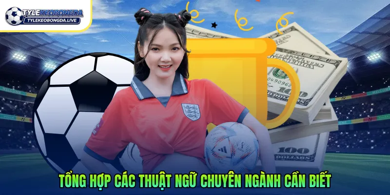 Tổng hợp các thuật ngữ chuyên ngành cần biết
