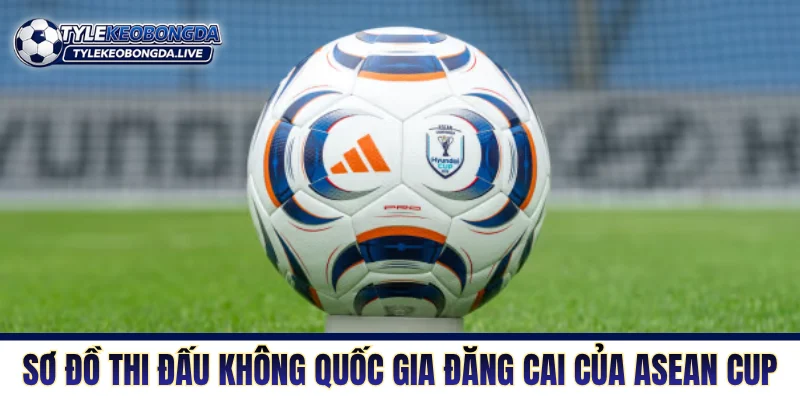 AFF Suzuki Cup - Sức Hút Bản Sắc Và Những Bước Chuyển 9 Sơ đồ thi đấu không quốc gia đăng cai của ASEAN Cup