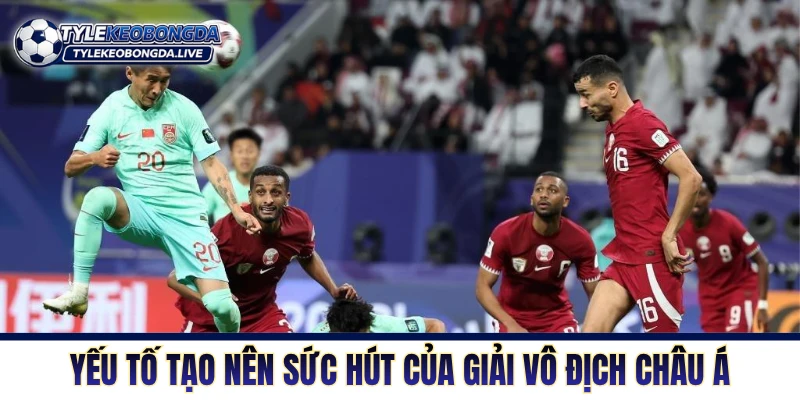 Asian Cup: Sân Chơi Danh Giá - Cuộc Chiến Khẳng Định Vị Thế 7 Yếu tố tạo nên sức hút của giải vô địch châu Á