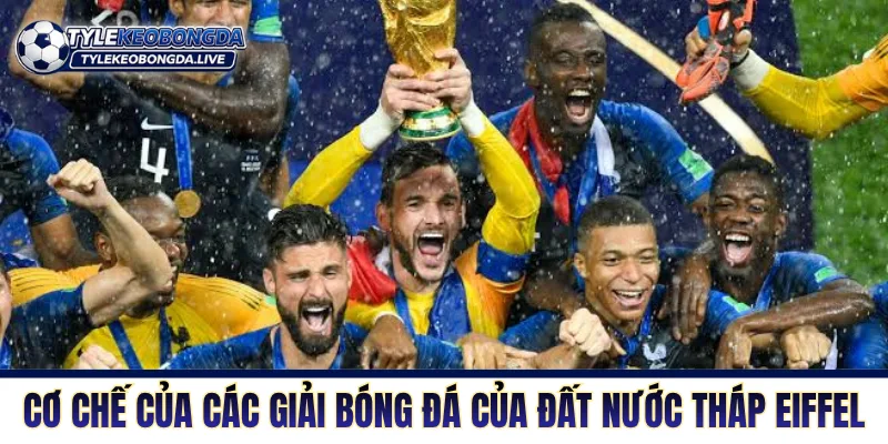 Bóng Đá Pháp - Sức Mạnh Và Bản Lĩnh Của Một Quân Vương 18 Cơ chế của các giải bóng của đất nước tháp Eiffel