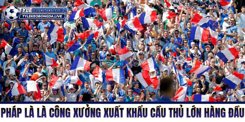 Bóng Đá Pháp - Sức Mạnh Và Bản Lĩnh Của Một Quân Vương 20 Xứ lục lăng là công xưởng xuất khẩu cầu thủ lớn hàng đầu thế giới