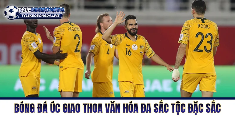 Bóng Đá Úc - Bản Lĩnh Chuột Túi Và Sự Trỗi Dậy Đầy Khát Vọng 73 Bóng đá Úc giao thoa văn hóa đa sắc tộc vô cùng đặc sắc
