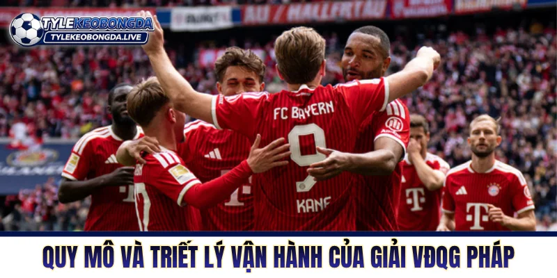 Quy mô và triết lý vận hành của giải VĐQG Pháp