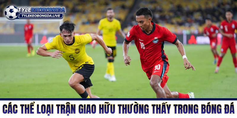 Các thể loại trận biểu diễn thường thấy trong bóng đá