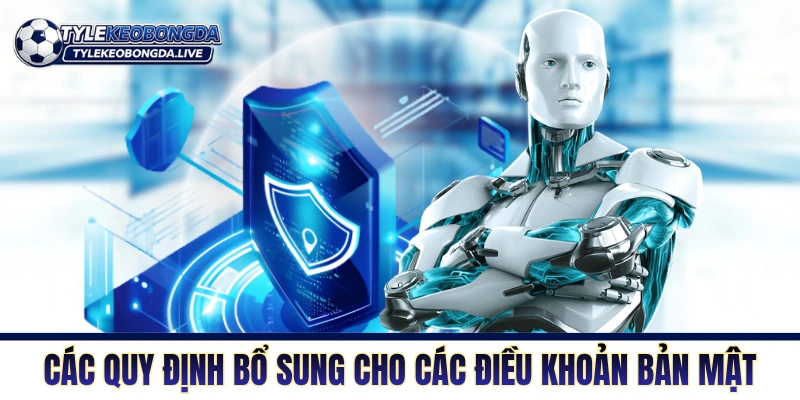 Các quy định bổ sung cho các điều khoản bản mật