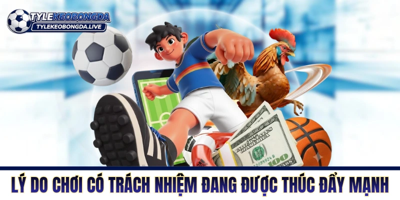 Lý do chơi có trách nhiệm đang được thúc đẩy mạnh