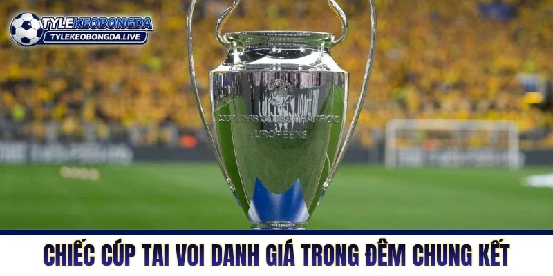 Chiếc cúp tai voi danh giá trong đêm chung kết
