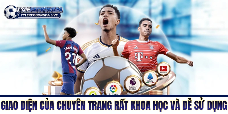 Giao diện của chuyên trang rất khoa học và dễ sử dụng