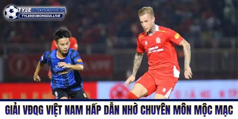 V-League - Sân Chơi Cấp Cao Nhất Đất Nước Hình Chữ S 7 Giải VĐQG Việt Nam hấp dẫn nhờ chuyên môn mộc mạc