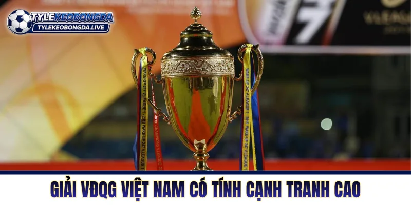 V-League - Sân Chơi Cấp Cao Nhất Đất Nước Hình Chữ S 8 Giải VĐQG Việt Nam có tính cạnh tranh cao với nhiều biến động