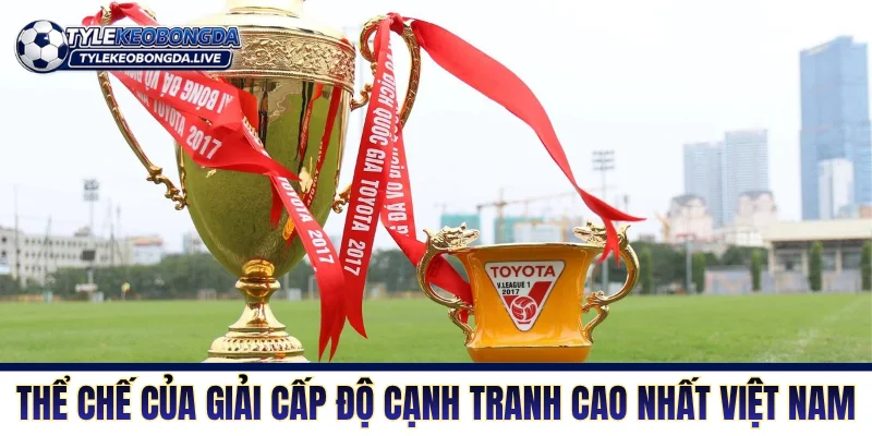 V-League - Sân Chơi Cấp Cao Nhất Đất Nước Hình Chữ S 6 Thể chế của giải cấp độ cạnh tranh cao nhất Việt Nam
