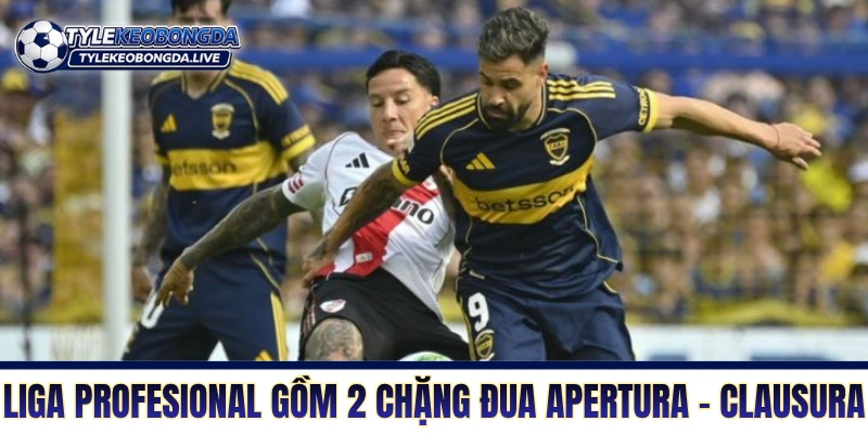 Liga Profesional gồm hai chặng đua Apertura - Clausura