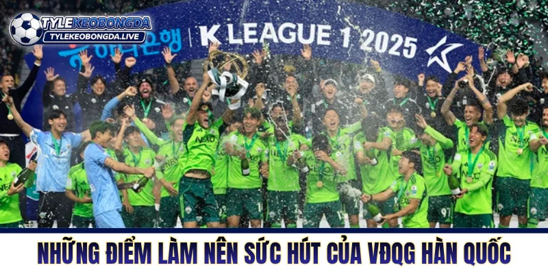 VĐQG Hàn Quốc - Nơi Của Những Máy Chạy Không Phổi 16 Những điểm làm nên sức hút của giải VĐQG Hàn Quốc