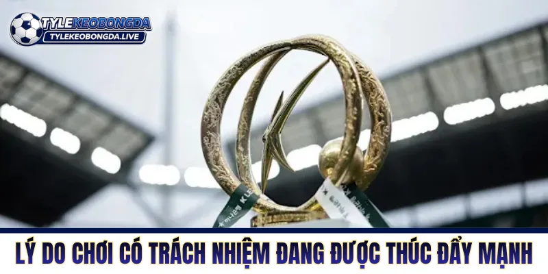 VĐQG Hàn Quốc - Nơi Của Những Máy Chạy Không Phổi 14 VĐQG Hàn Quốc là sân chơi của những chiến binh cần mẫn