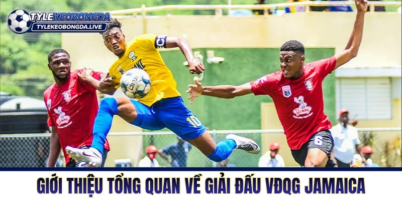 Giới thiệu tổng quan về giải đấu VĐQG Jamaica