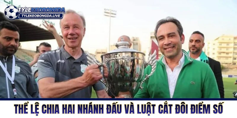 Thể lệ chia hai nhánh đấu và luật cắt đôi điểm số