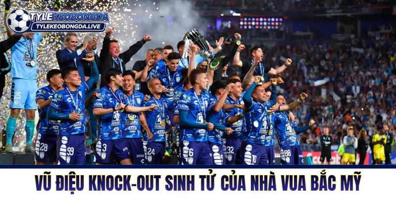 Vũ điệu knock-out sinh tử của nhà vua Bắc Mỹ